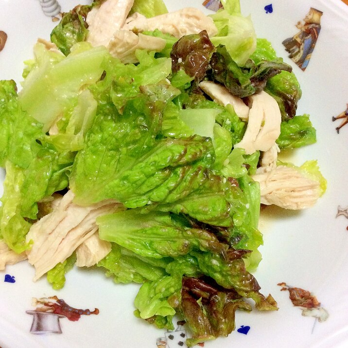サニーレタス胸肉パルメザンチーズサラダ レシピ 作り方 By Madone6 楽天レシピ サニーレタス胸肉パルメザンチーズサラダ レシピ 作り方 By Madone6 楽天レシピ